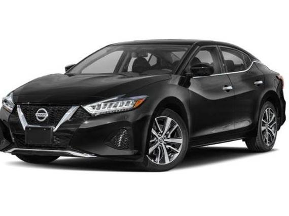 NISSAN MAXIMA 2019 1N4AA6AV3KC369649 image