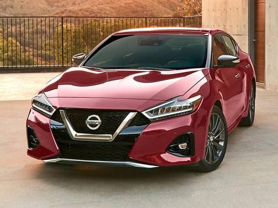NISSAN MAXIMA 2019 1N4AA6AV4KC377811 image