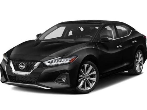NISSAN MAXIMA 2019 1N4AA6AV1KC362487 image