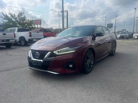 NISSAN MAXIMA 2019 1N4AA6AV5KC365831 image NISSAN MAXIMA 2019 1N4AA6AV5KC365831 image