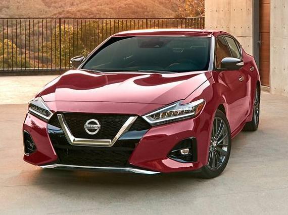 NISSAN MAXIMA 2019 1N4AA6AV5KC362699 image NISSAN MAXIMA 2019 1N4AA6AV5KC362699 image
