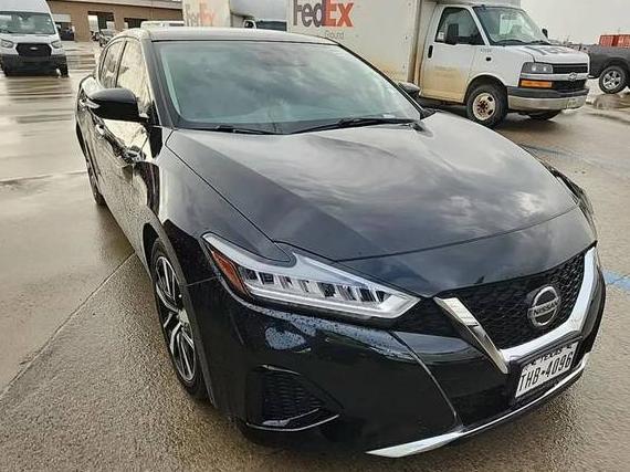 NISSAN MAXIMA 2021 1N4AA6CV0MC506739 image