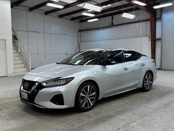 NISSAN MAXIMA 2020 1N4AA6CV6LC364573 image
