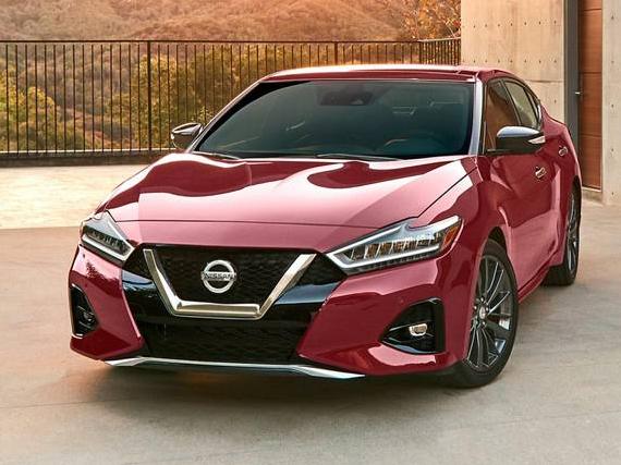 NISSAN MAXIMA 2020 1N4AA6EV4LC372927 image