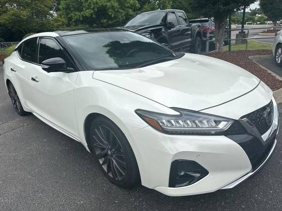 NISSAN MAXIMA 2020 1N4AA6FV8LC367146 image