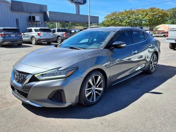 NISSAN MAXIMA 2020 1N4AA6CV4LC365186 image