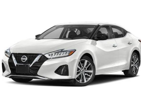 NISSAN MAXIMA 2020 1N4AA6DV6LC364877 image
