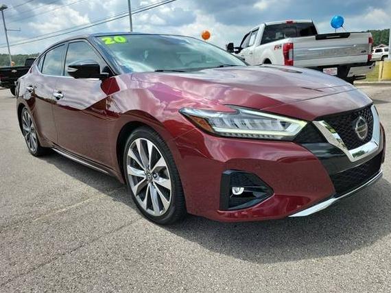 NISSAN MAXIMA 2020 1N4AA6FV5LC377990 image