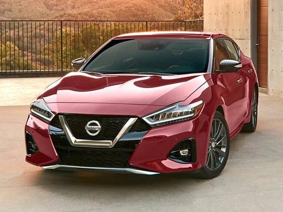 NISSAN MAXIMA 2020 1N4AA6DV0LC371937 image