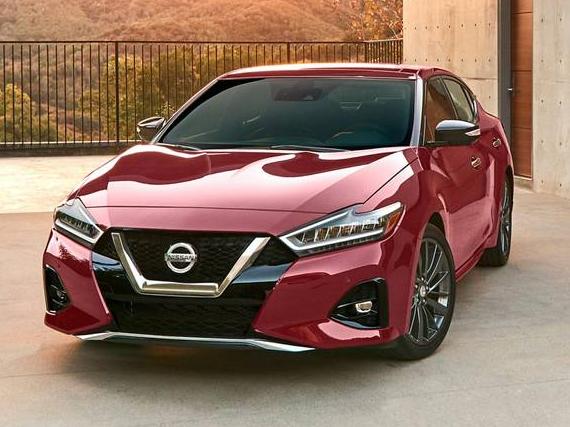 NISSAN MAXIMA 2020 1N4AA6DV0LC383697 image
