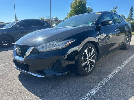 NISSAN MAXIMA 2020 1N4AA6DV5LC381461 image