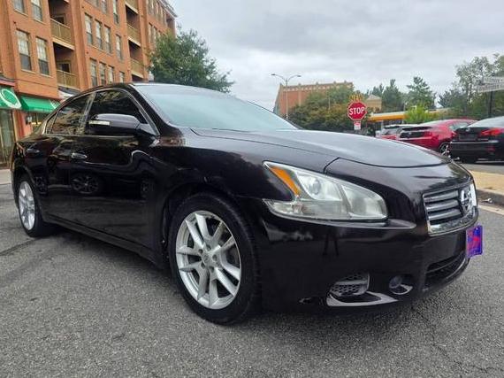 NISSAN MAXIMA 2010 1N4AA5AP1AC800497 image NISSAN MAXIMA 2010 1N4AA5AP1AC800497 image
