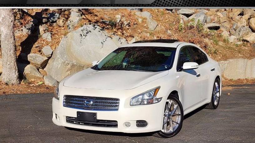 NISSAN MAXIMA 2010 1N4AA5AP0AC810390 image