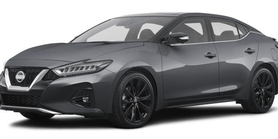 NISSAN MAXIMA 2022 1N4AA6EV4NC501686 image