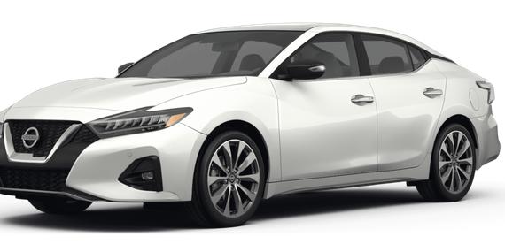 NISSAN MAXIMA 2022 1N4AA6FV1NC507024 image