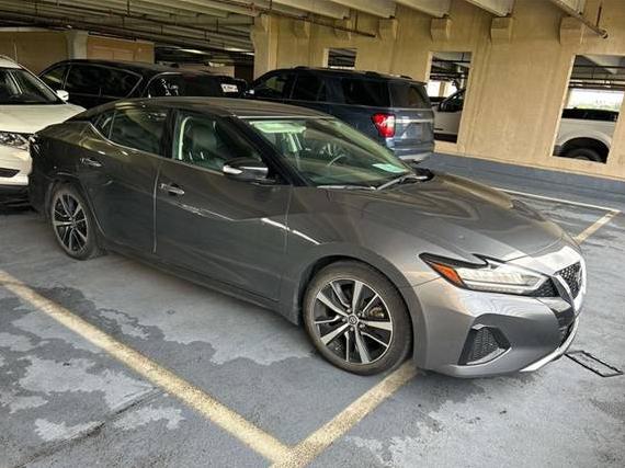 NISSAN MAXIMA 2022 1N4AA6CV3NC508079 image