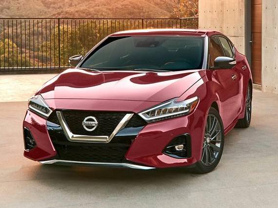 NISSAN MAXIMA 2022 1N4AA6CV8NC504836 image