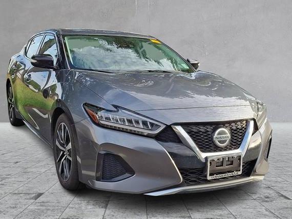 NISSAN MAXIMA 2022 1N4AA6CV7NC501250 image