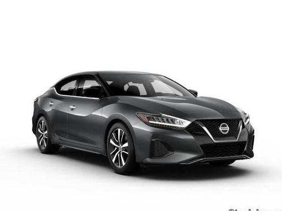 NISSAN MAXIMA 2022 1N4AA6CV3NC504971 image