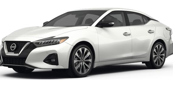 NISSAN MAXIMA 2022 1N4AA6FV7NC506170 image
