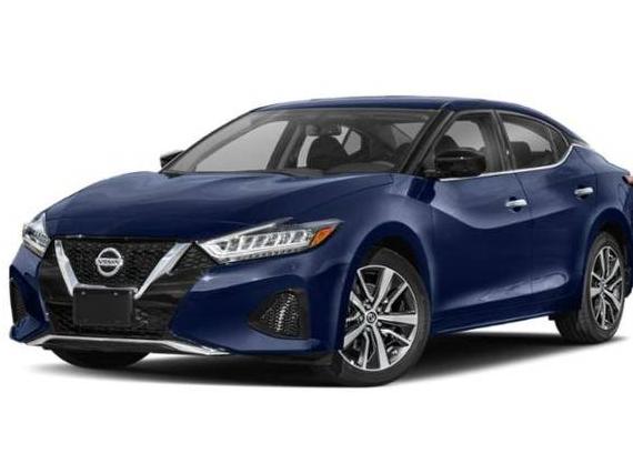 NISSAN MAXIMA 2022 1N4AA6CV8NC503847 image