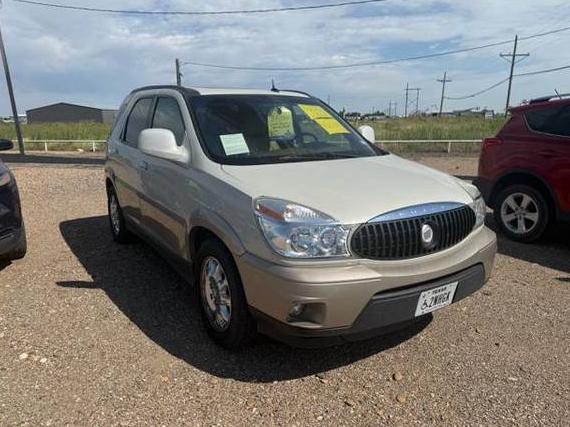 BUICK RENDEZVOUS 2005 3G5DB03755S539077 image
