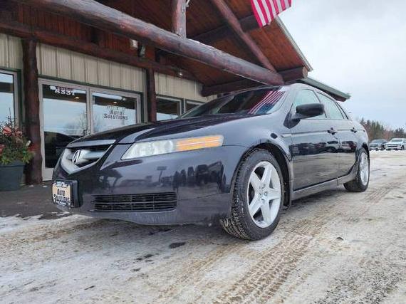 ACURA TL 2006 19UUA66256A041397 image
