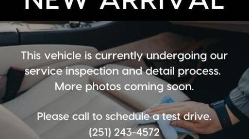 CHRYSLER PACIFICA 2019 2C4RC1BG5KR582846 image