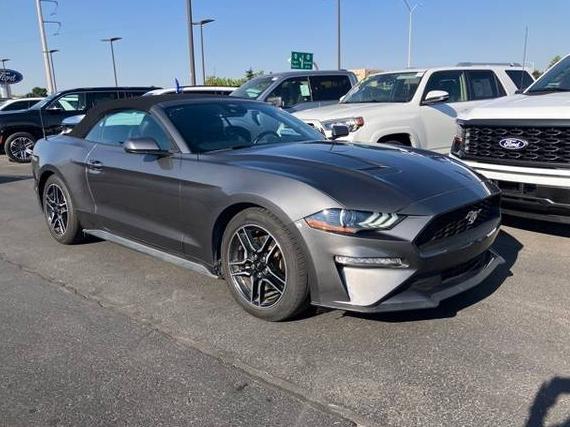 FORD MUSTANG 2023 1FATP8UH7P5100400 image