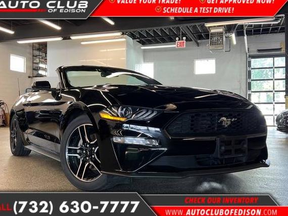 FORD MUSTANG 2023 1FATP8UH6P5110495 image