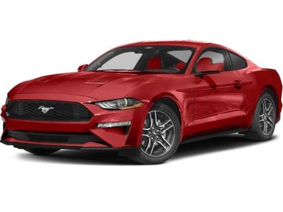 FORD MUSTANG 2023 1FA6P8TH2P5100903 image