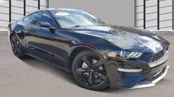 FORD MUSTANG 2023 1FA6P8TH3P5101347 image