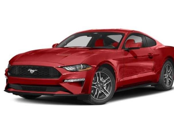 FORD MUSTANG 2023 1FA6P8TH2P5110895 image