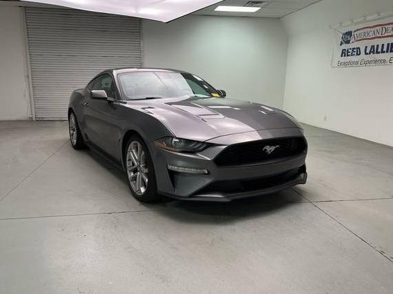FORD MUSTANG 2023 1FA6P8TH6P5113640 image