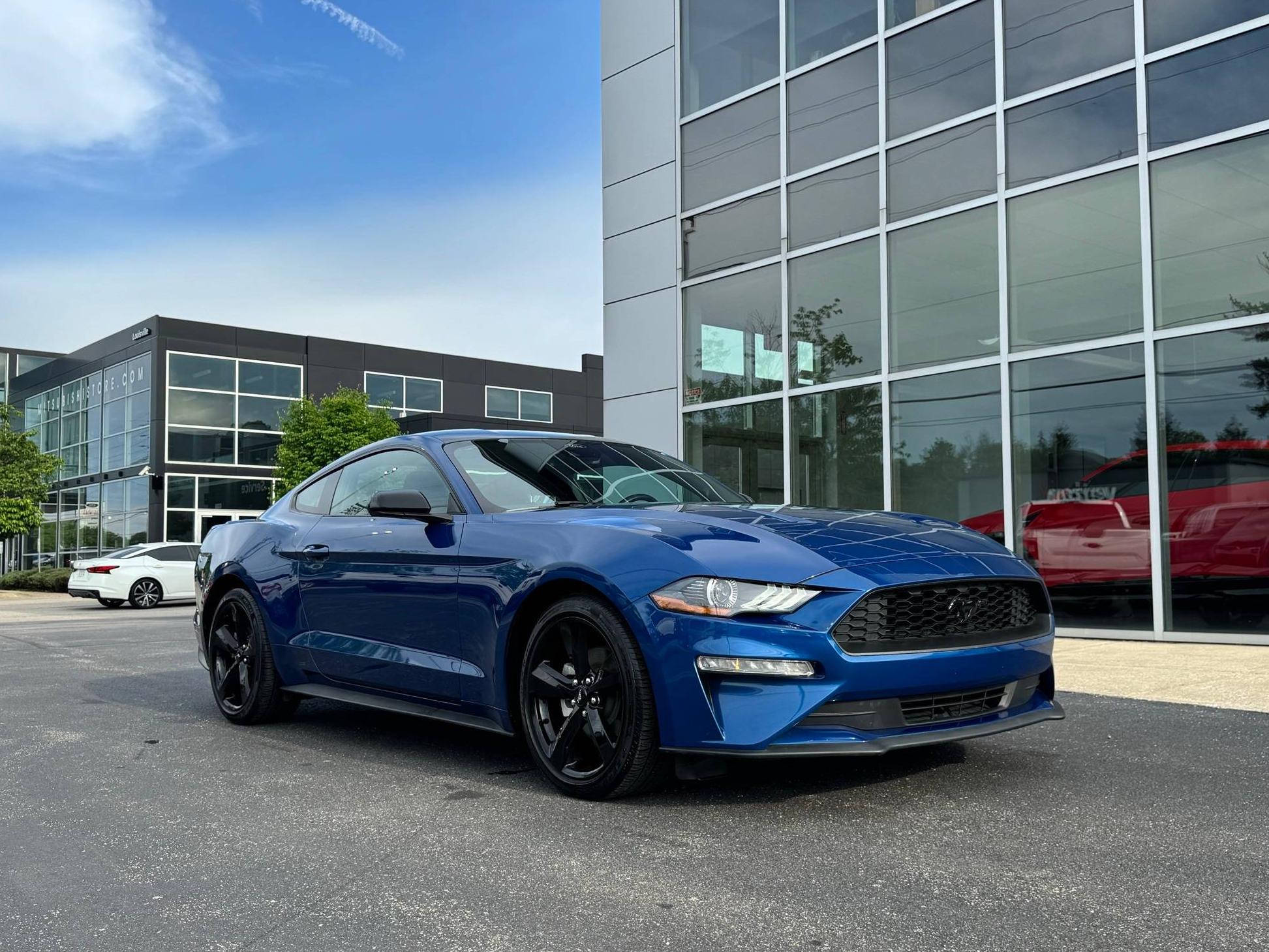 FORD MUSTANG 2023 1FA6P8TH2P5113215 image