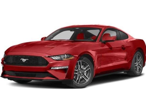 FORD MUSTANG 2023 1FA6P8THXP5105735 image