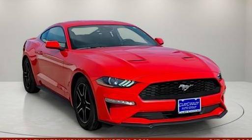 FORD MUSTANG 2023 1FA6P8TH3P5104894 image