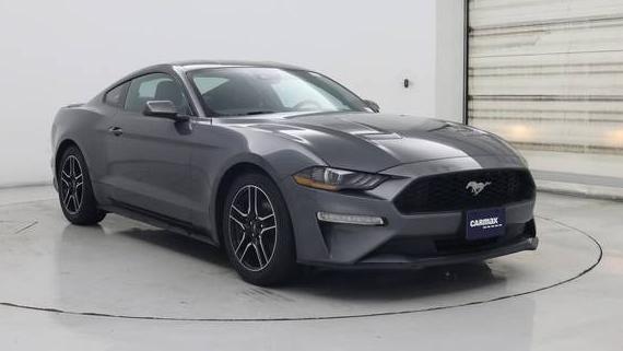 FORD MUSTANG 2023 1FA6P8TH8P5108634 image