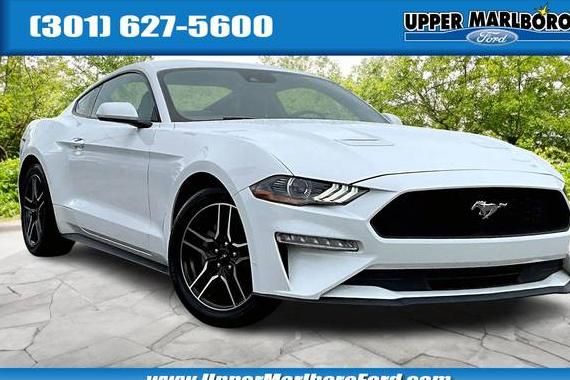 FORD MUSTANG 2023 1FA6P8TH3P5108993 image FORD MUSTANG 2023 1FA6P8TH3P5108993 image