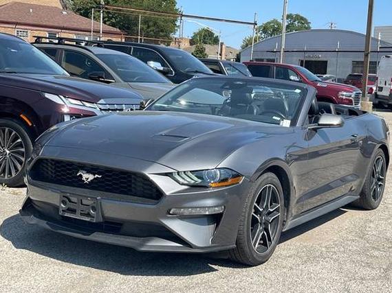 FORD MUSTANG 2023 1FATP8UH3P5103455 image