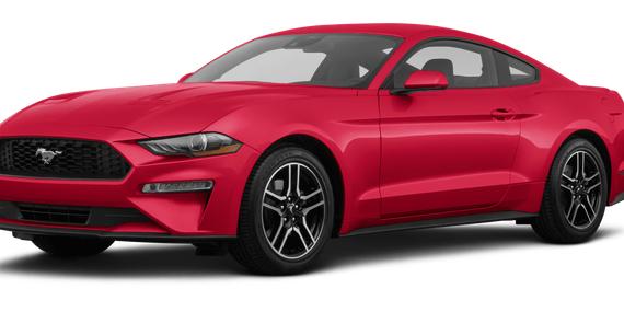 FORD MUSTANG 2023 1FA6P8TH1P5103808 image