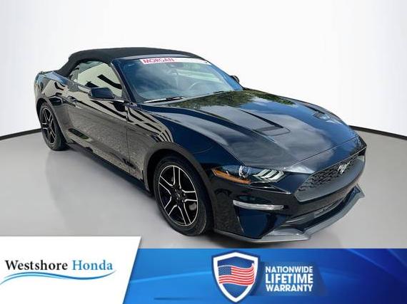 FORD MUSTANG 2023 1FATP8UH2P5100479 image
