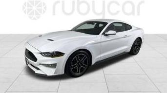FORD MUSTANG 2023 1FA6P8TH1P5105607 image
