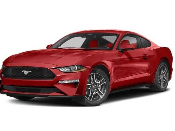 FORD MUSTANG 2023 1FA6P8TH2P5105230 image