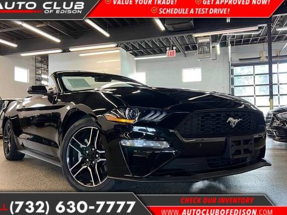 FORD MUSTANG 2023 1FATP8UH9P5110863 image