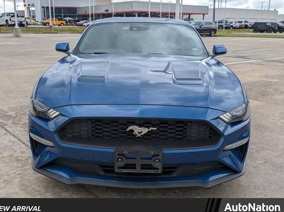 FORD MUSTANG 2023 1FA6P8TH7P5102002 image