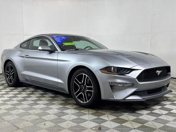 FORD MUSTANG 2023 1FA6P8TH1P5100987 image