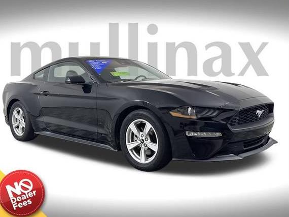 FORD MUSTANG 2023 1FA6P8TH8P5113591 image