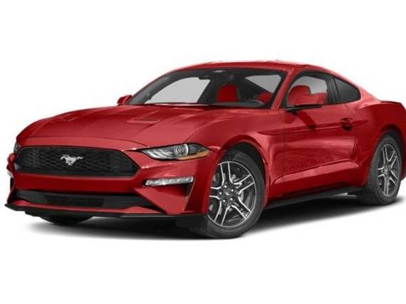 FORD MUSTANG 2023 1FA6P8TH4P5107352 image