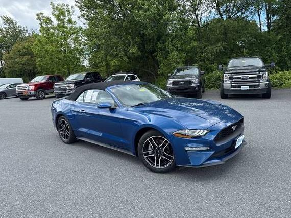 FORD MUSTANG 2023 1FATP8UH0P5112601 image